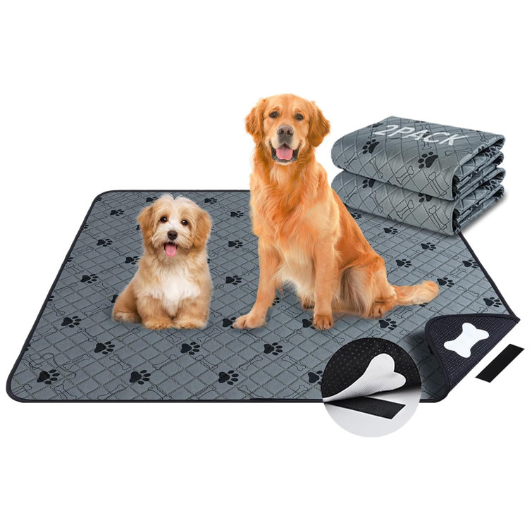 Absorbent pet mat discount
